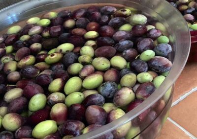 oliven einweichen gegen bitterstoffe